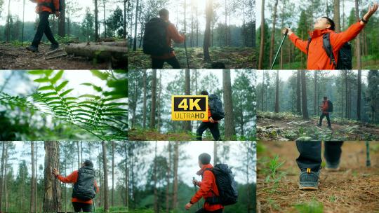 户外探险徒步穿越森林高清在线视频素材下载