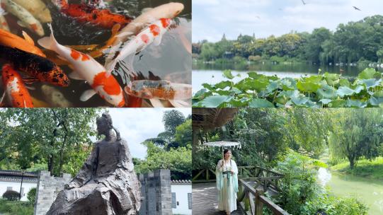 浣花溪杜甫诗词石刻塑像 古风 荷塘 锦鲤高清在线视频素材下载