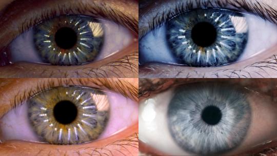 【合集】眼睛特写放大瞳孔眨眼科技感视频素材模板下载
