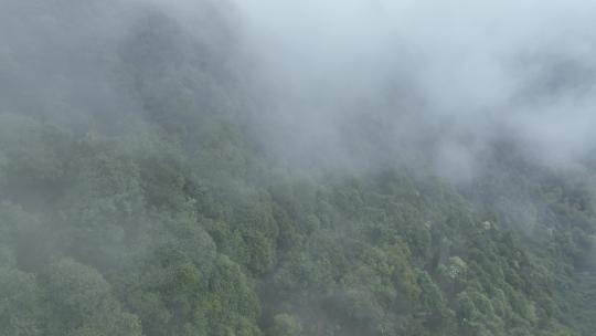 烟雨云雾缥缈的大山