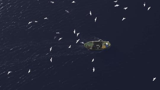 渔船捕鱼海鸥飞翔平静的大海海鸟