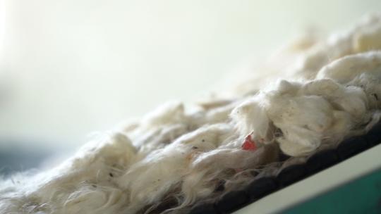 羊毛 车间 工艺 流程 视频素材 毛毯