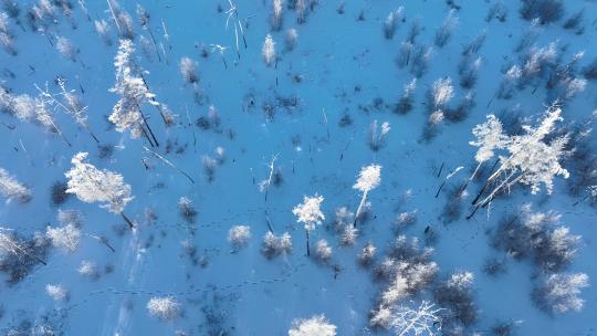 航拍大兴安岭雾凇风光林海雪原