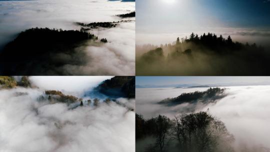 自然风光 山顶森林云雾涌动风气云涌