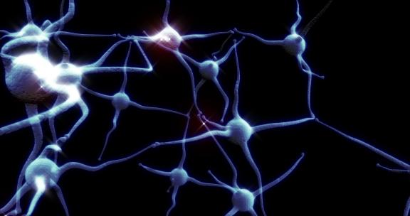 红色电脉冲活动的真实神经元 无缝循环