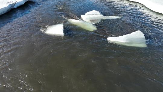 春天开河浮冰流水残冰