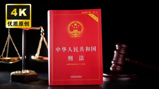 国家刑法普法书籍宪法政法书籍学习法律普法