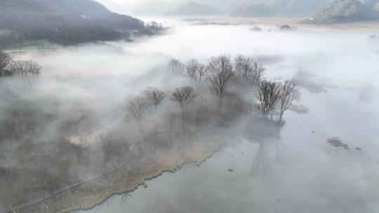 航拍湖北旅游神农架大九湖户外自然晨雾