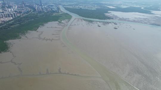 航拍深圳福田红树林湿地保护区