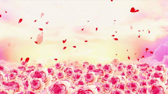 【4k】玫瑰花爱情背景循环