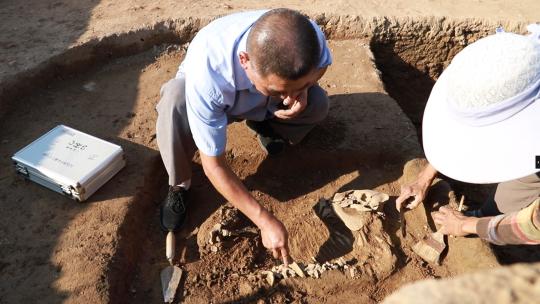 考古现场-考古人员挖掘清理文物高清在线视频素材下载
