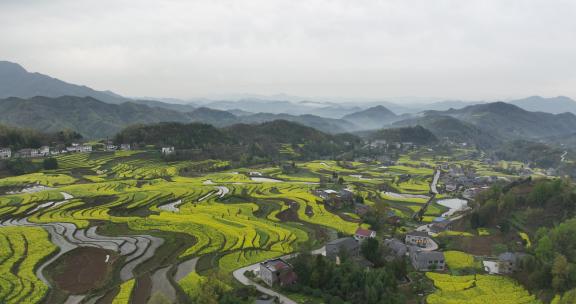 4k高清安康汉阴凤堰古梯田油菜花