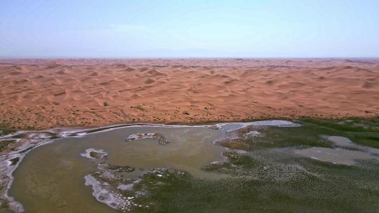 沙漠湖泊湿地沙漠生态水资源视频素材模板下载