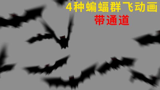 4种 蝙蝠群飞动画【带通道ae工程】