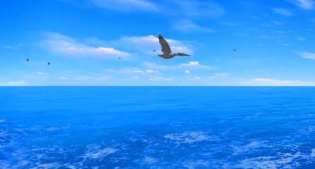 10K蓝色大海飞鸟海浪蓝天 无缝循环