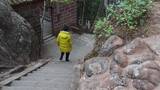 云南旅游大理剑川石宝山陡峭垂直石头台阶高清在线视频素材下载