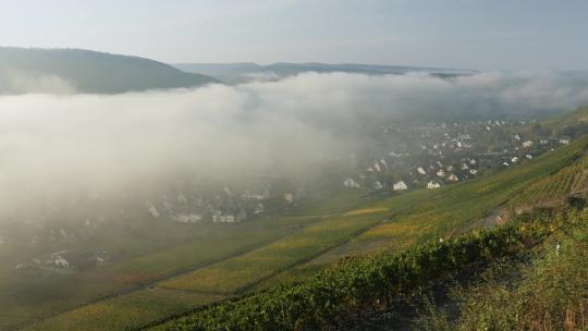 雾笼罩着山谷和村庄。