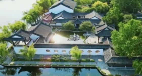 苏州园林 海棠花 早晨