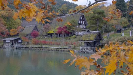 秋天湖边老房子的景色