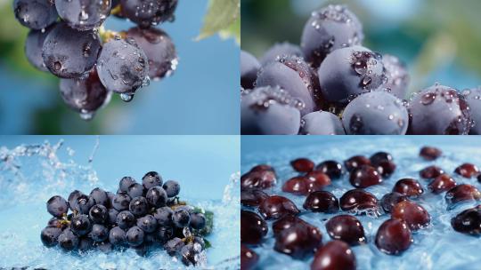 棚拍葡萄4K升格高清在线视频素材下载