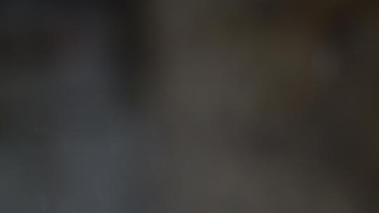 指纹扫描未来技术4K