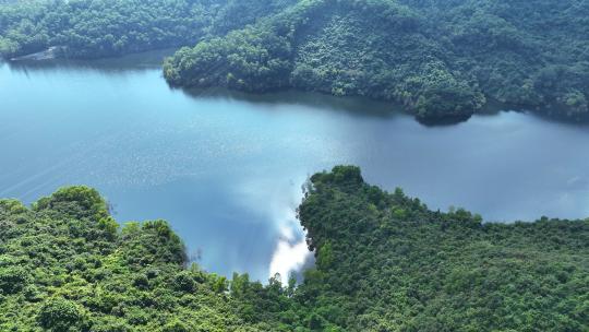 航拍深圳户外塘朗山梅林水库自然风景