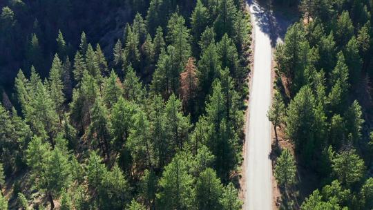 飞越加州皮诺斯山的森林公路
