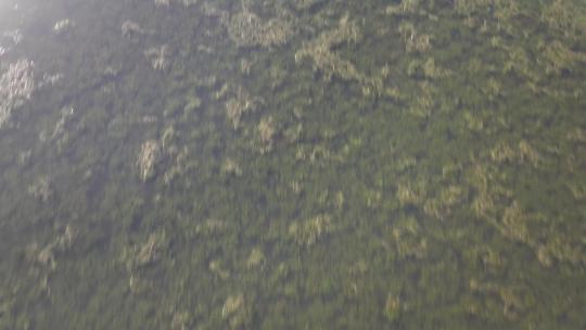 武汉沙湖航拍空镜视频素材模板下载