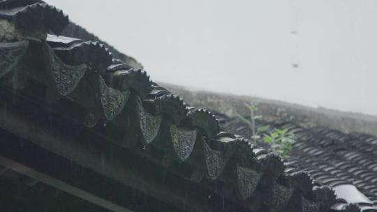 1419 江南园林 下雨 雨季 春天 春雨