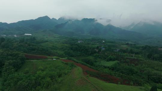 森林高山云雾环绕 秦岭航拍