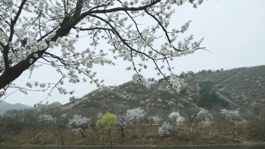 北京黄花城水长城春季风光