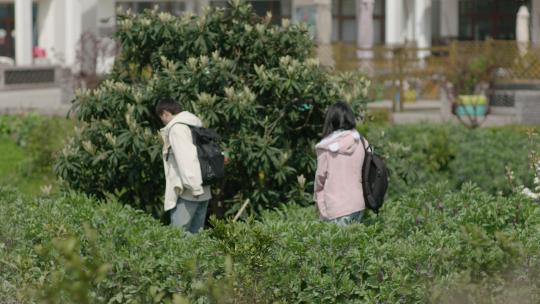 春天古装古镇情侣汉服学生风景桃花油菜花