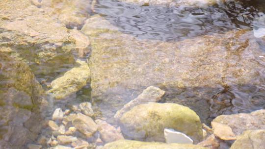 清澈的河水-溪流-水资源