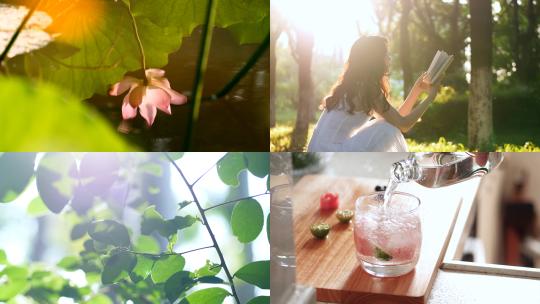 唯美夏日风景，立夏夏至夏天视频合集