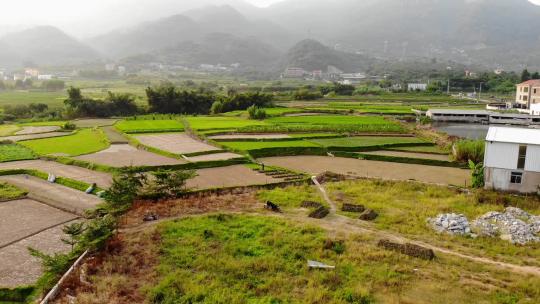 航拍福建厦门灌口农田乡村风光