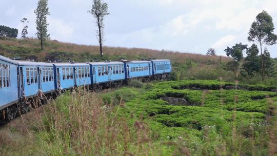 斯里兰卡网红小火车行驶在艾拉茶园视频素材模板下载