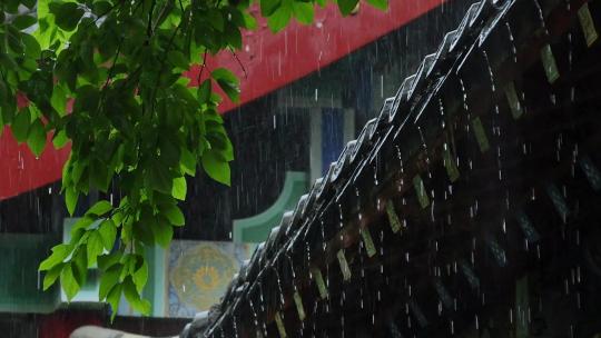 雨天雨水雨季中式建筑屋檐雨滴意境