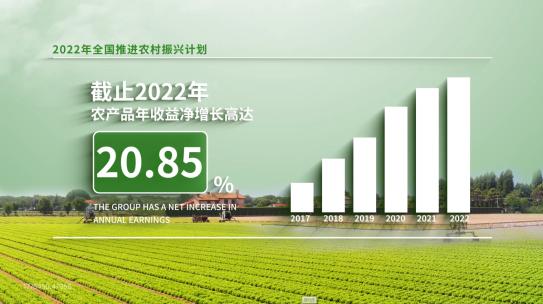 乡村振兴 绿色农业数据宣传