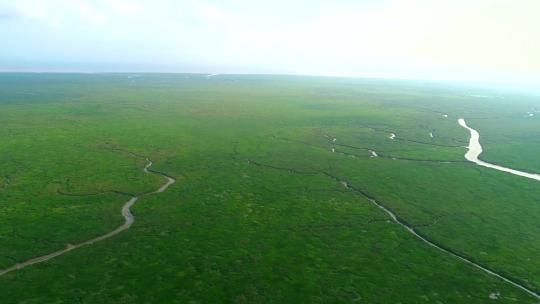 航拍上海长江口九段沙湿地自然保护区视频素材模板下载