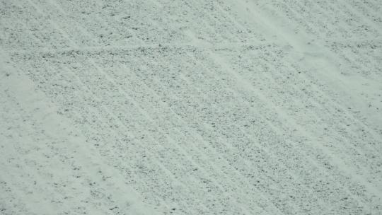 雪后覆盖积雪的麦田