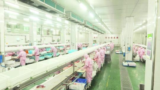 加工流水线生产线养殖猪肉生鲜视频素材模板下载
