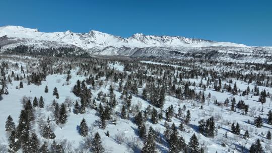 航拍吉林长白山雪原森林自然风光