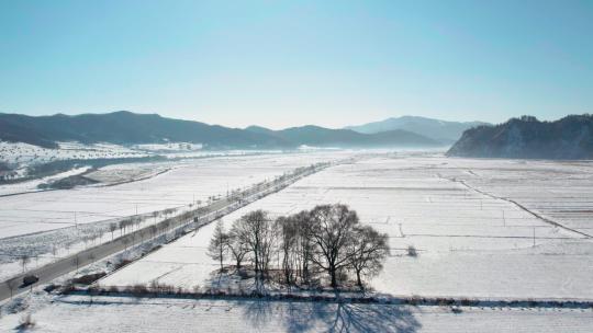 4k航拍雪后的山林