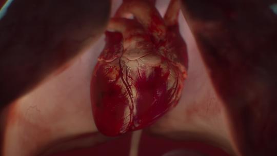 心脏跳动三维动画演绎视频素材模板下载