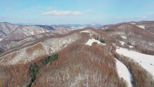 4k航拍雪后的山林