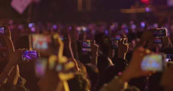 夏日户外音乐节