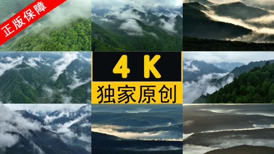 12组高清日出云海云雾缭绕森林大自然高清在线视频素材下载