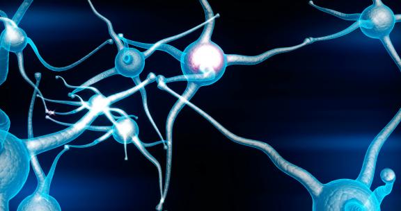 红色电脉冲活动的蓝色神经元突触网络