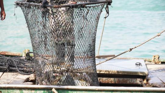 渔村渔港渔民装卸海鱼