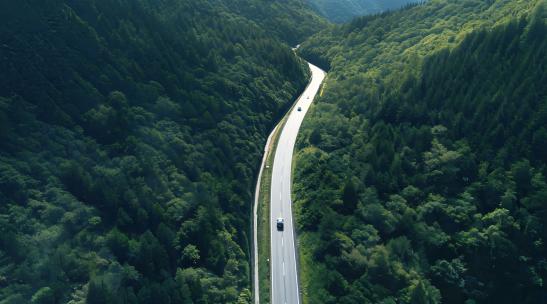 航拍森林公路山峰树林树叶蘑菇自然风景